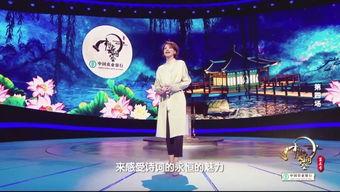 中国诗词大会创作背景,中国诗词大会背后的文化传承与创新之旅